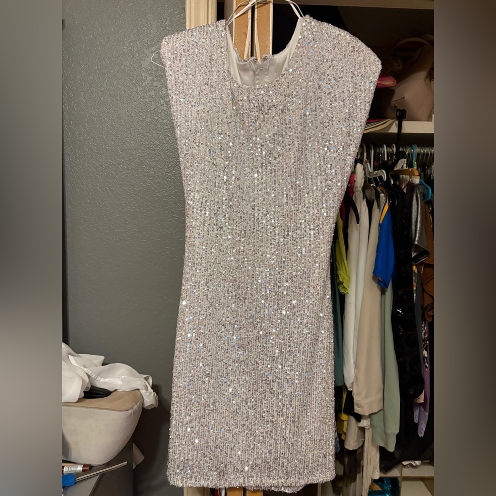 Elegant Silver Sequin Dress